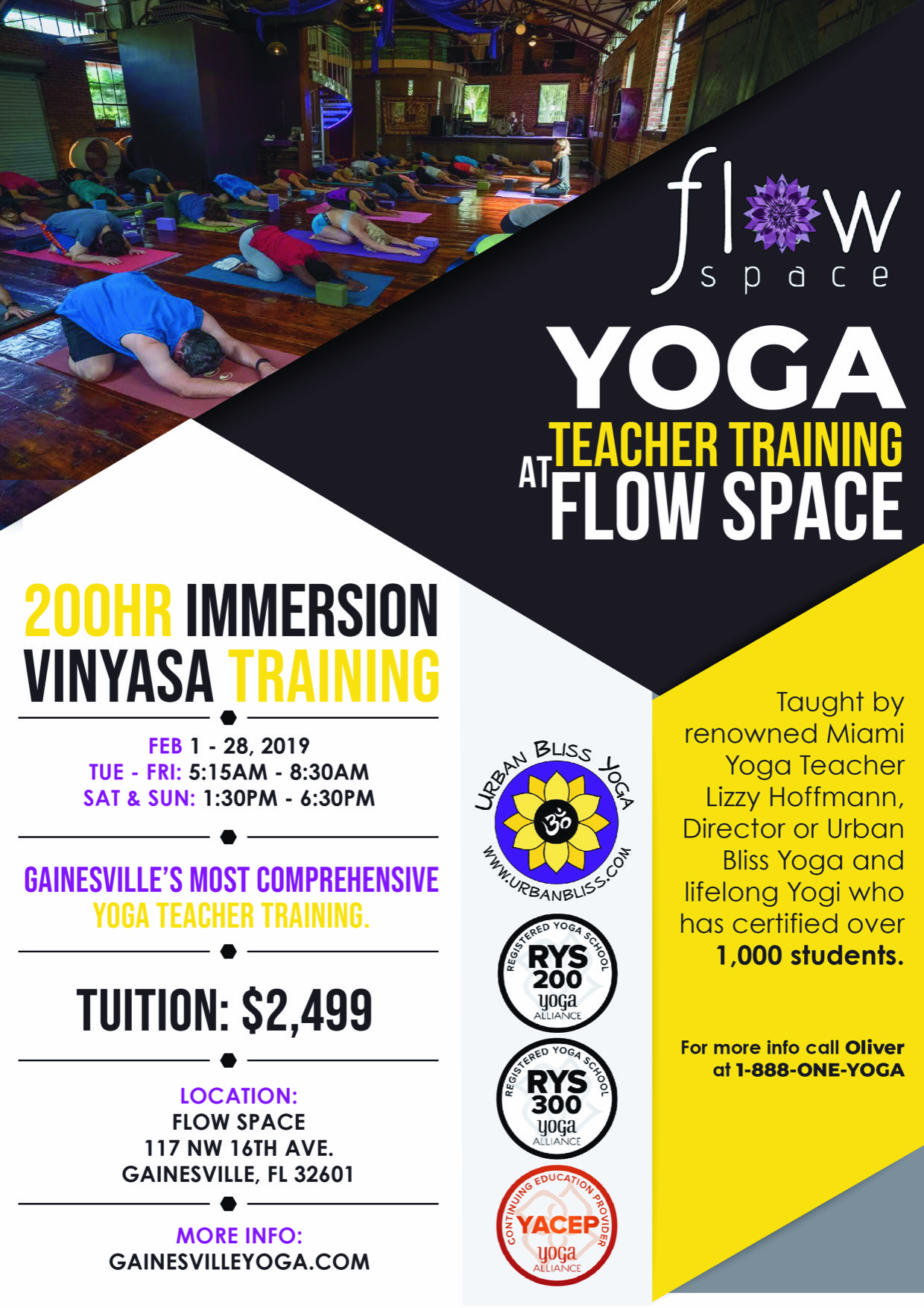 Yoga Teacher Training in Gainesville